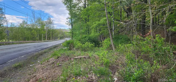 Rt-42, Fallsburg, NY 12733