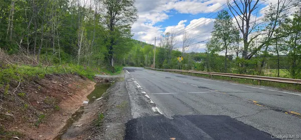 Rt-42, Fallsburg, NY 12733