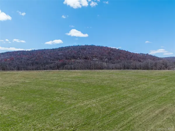 Lot # 10 McGhee Hill RD, Millerton, NY 12546
