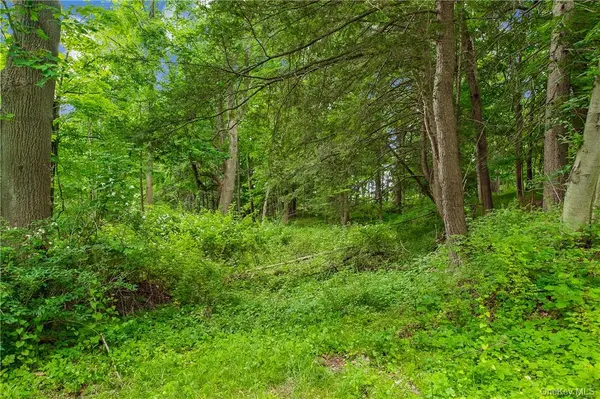 28 McLain - LOT 2 ST, Bedford Corners, NY 10549