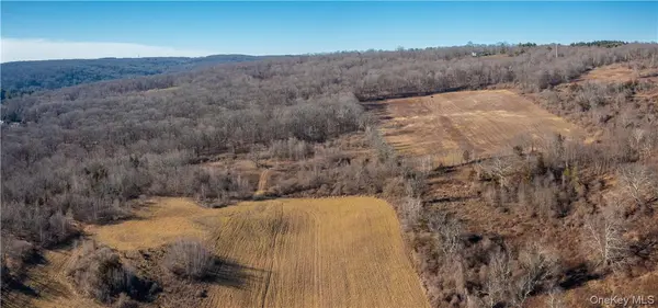 1297 Route 343, Dover Plains, NY 12522