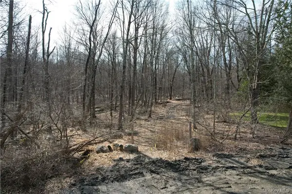 Owen DR, Mahopac, NY 10512