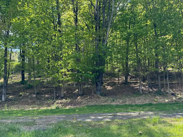 Westwood AVE, Ellenville, NY 12428