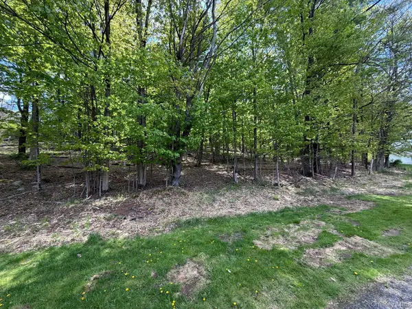 Westwood AVE, Ellenville, NY 12428