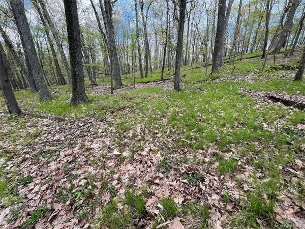 Cold Spring RD, Clinton Corners, NY 12514