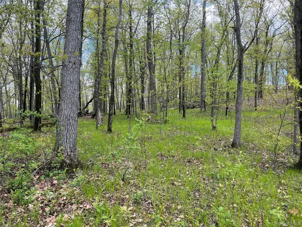 Cold Spring RD, Clinton Corners, NY 12514