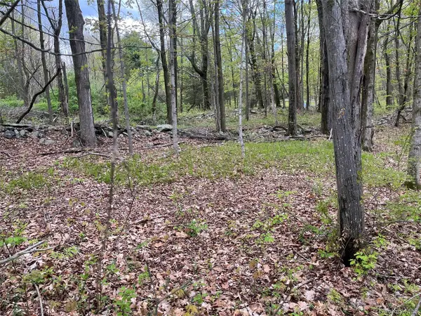 Cold Spring RD, Clinton Corners, NY 12514