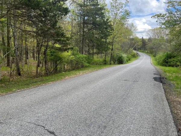 Cold Spring RD, Clinton Corners, NY 12514
