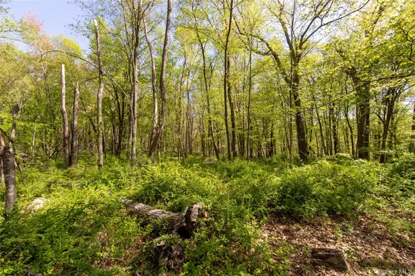 298 Nash RD, North Salem, NY 10560
