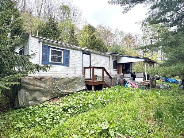 395 Federal Hill Rd 1, Delhi, NY 13753