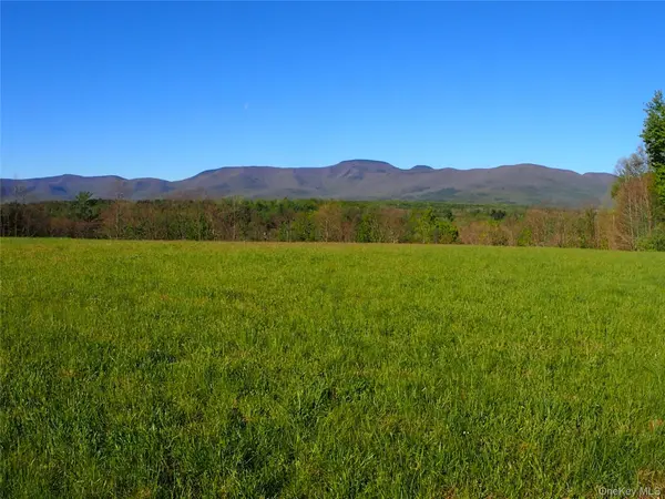 8207 Route 32, Cairo, NY 12413