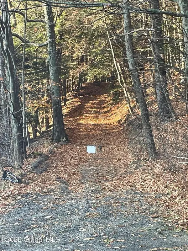 L26 & L27 Ecker Hollow RD, Cobleskill, NY 12043