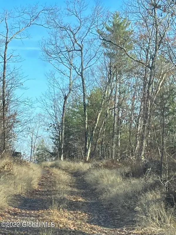 L26 & L27 Ecker Hollow RD, Cobleskill, NY 12043