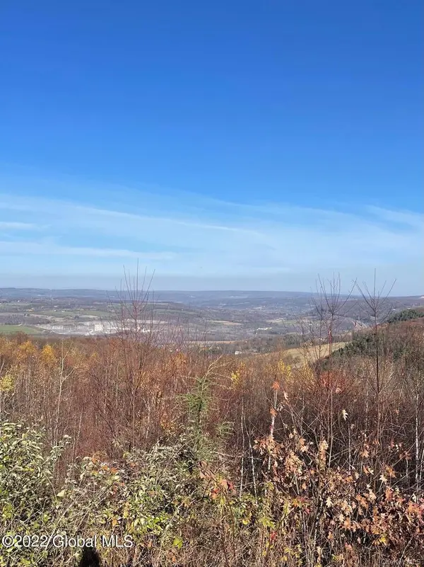 L26 & L27 Ecker Hollow RD, Cobleskill, NY 12043