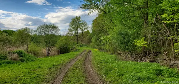 207 Cardinal RD, Hyde Park, NY 12538