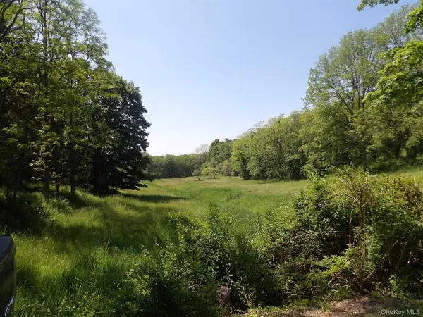 303 Hicks Hill RD, Stanfordville, NY 12582