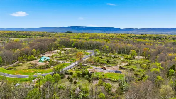 7 Scenic Meadow DR, Gardiner, NY 12525