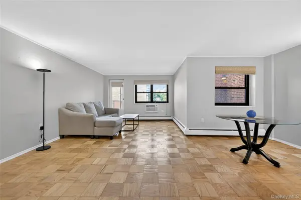 100 Clinton AVE #2Y, Mineola, NY 11501