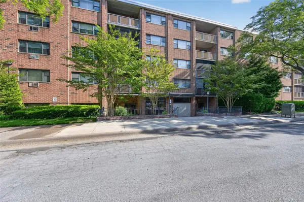 100 Clinton AVE #2Y, Mineola, NY 11501