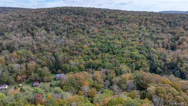 Grooville RD, Livingston Manor, NY 12758