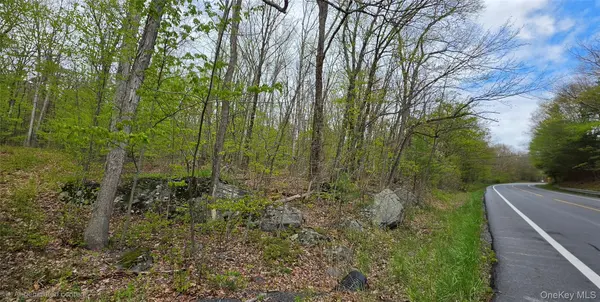 Lot 23.21 State Route 97, Narrowsburg, NY 12764