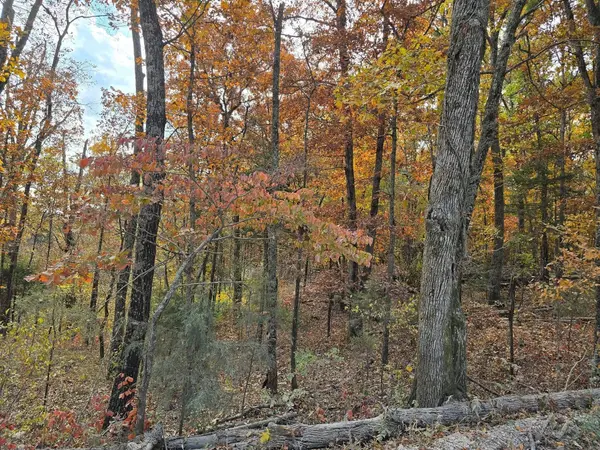 000 Mineral Dr. Lot 1, Houston, MO 65483
