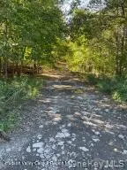 L-33 Harring RD, Cairo, NY 12413