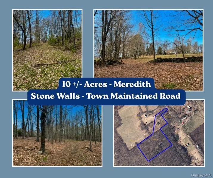 Lot 4 Shaver Hill Road, East Meredith, NY 13806