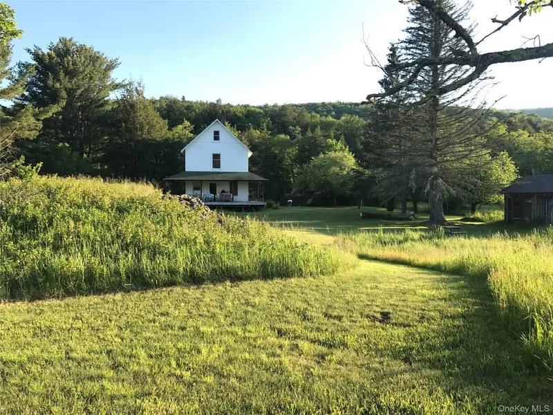 Livingston Manor, NY 12758