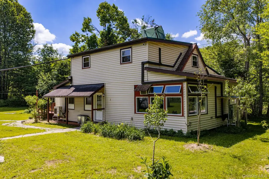 64 & 68 Mineral Springs RD, Livingston Manor, NY 12758