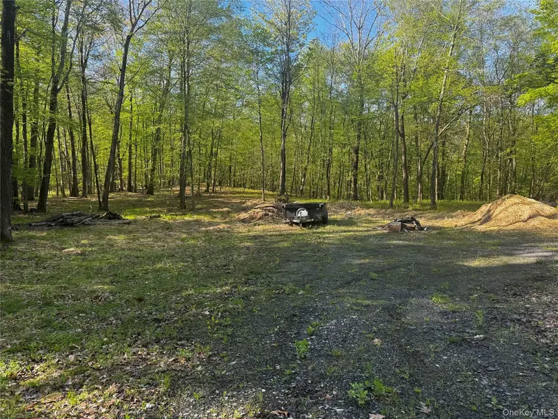 Hall Hill RD, Ancram, NY 12502