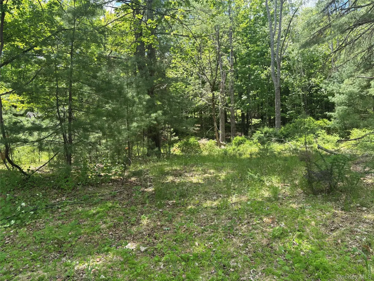 400 Red Hill RD, Phillipsport, NY 12790