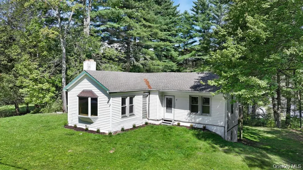 1463 Briscoe RD, Swan Lake, NY 12783