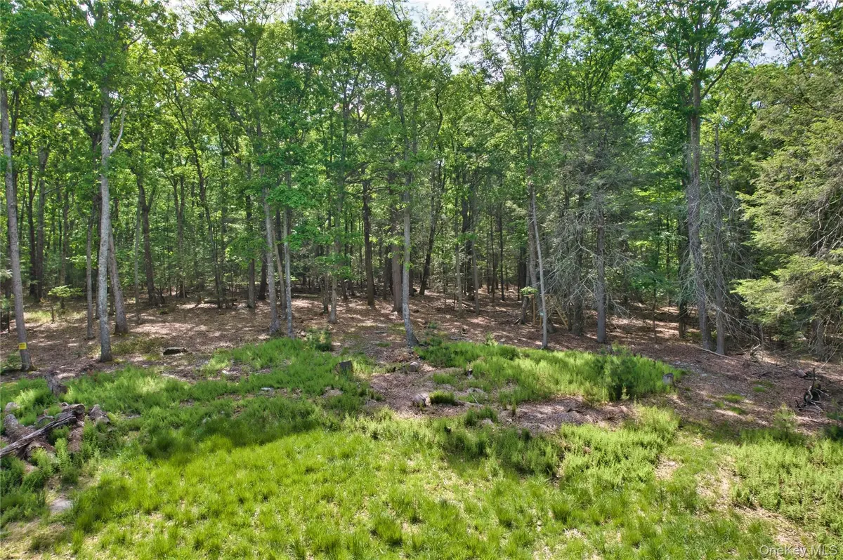 Jersey RD, Wurtsboro, NY 12790