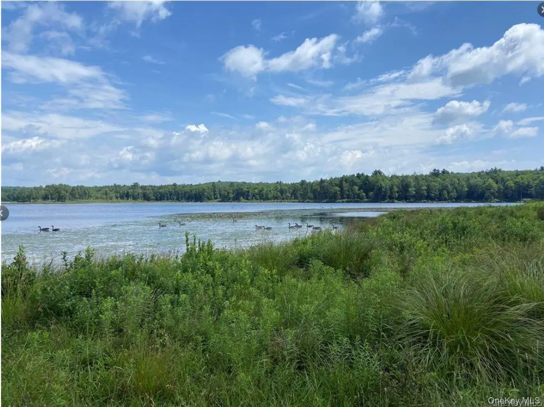 15 Bailey Lake RD ##-1, Kiamesha Lake, NY 12751