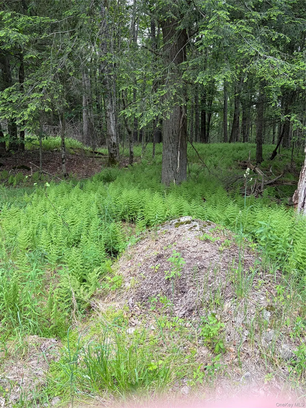 Creamery RD, Bethel, NY 12701