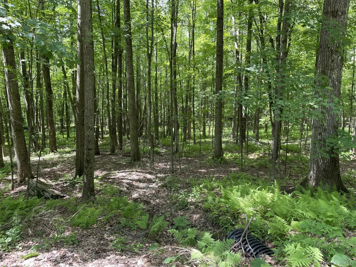 Skip Gray RD, Delancey, NY 13752