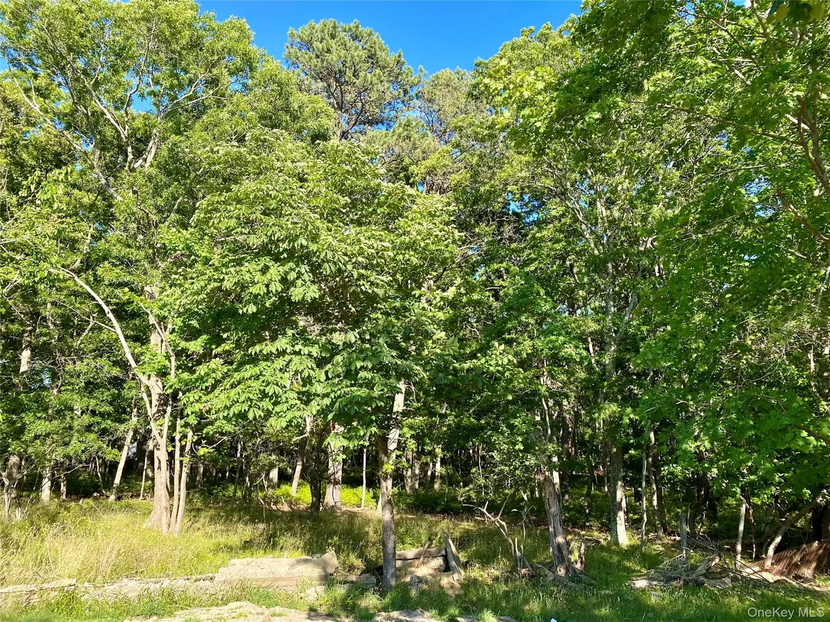 Granny RD, Medford, NY 11763