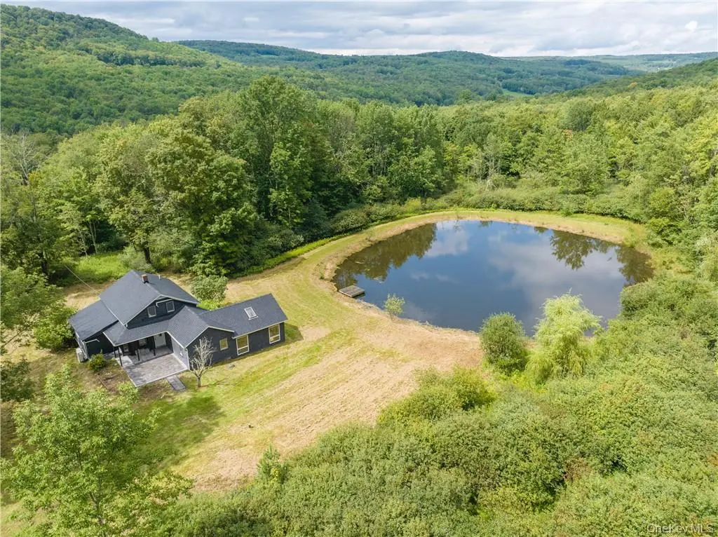 1667 Shandelee RD, Youngsville, NY 12791