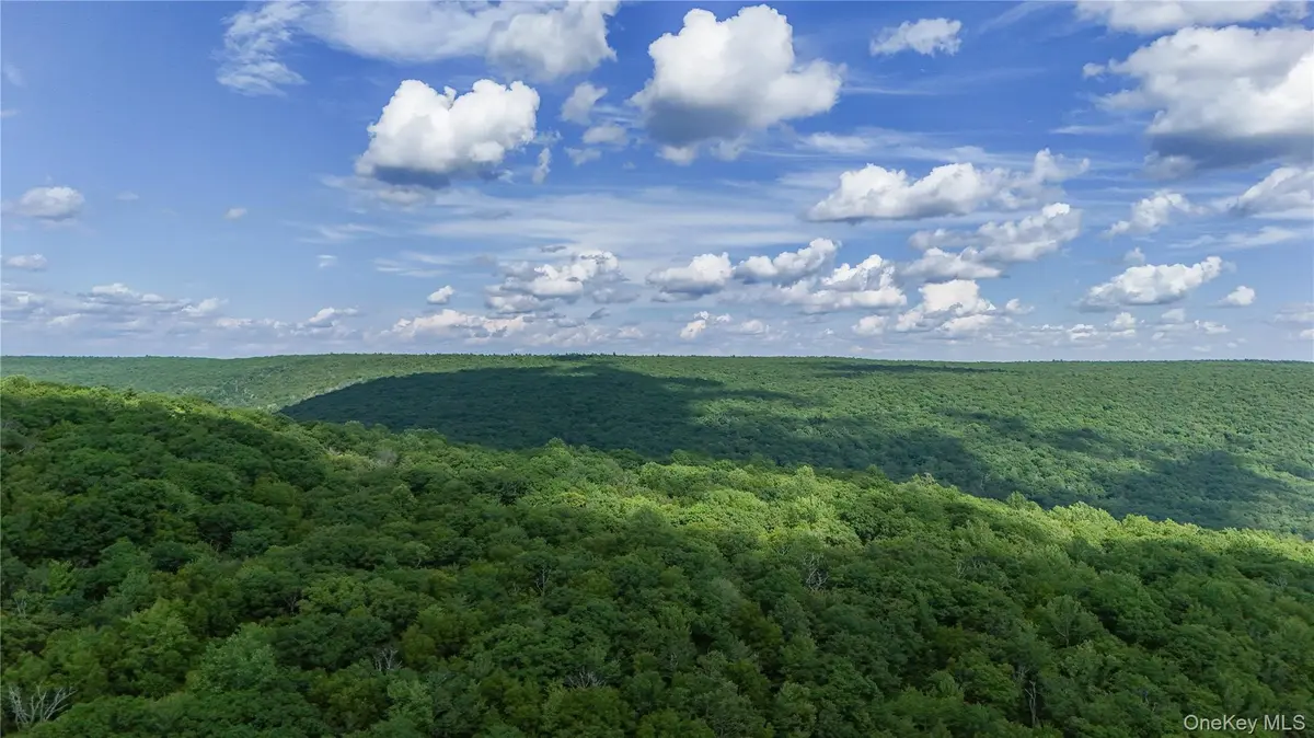 0 Wilderness TRL, Forestburgh, NY 12777
