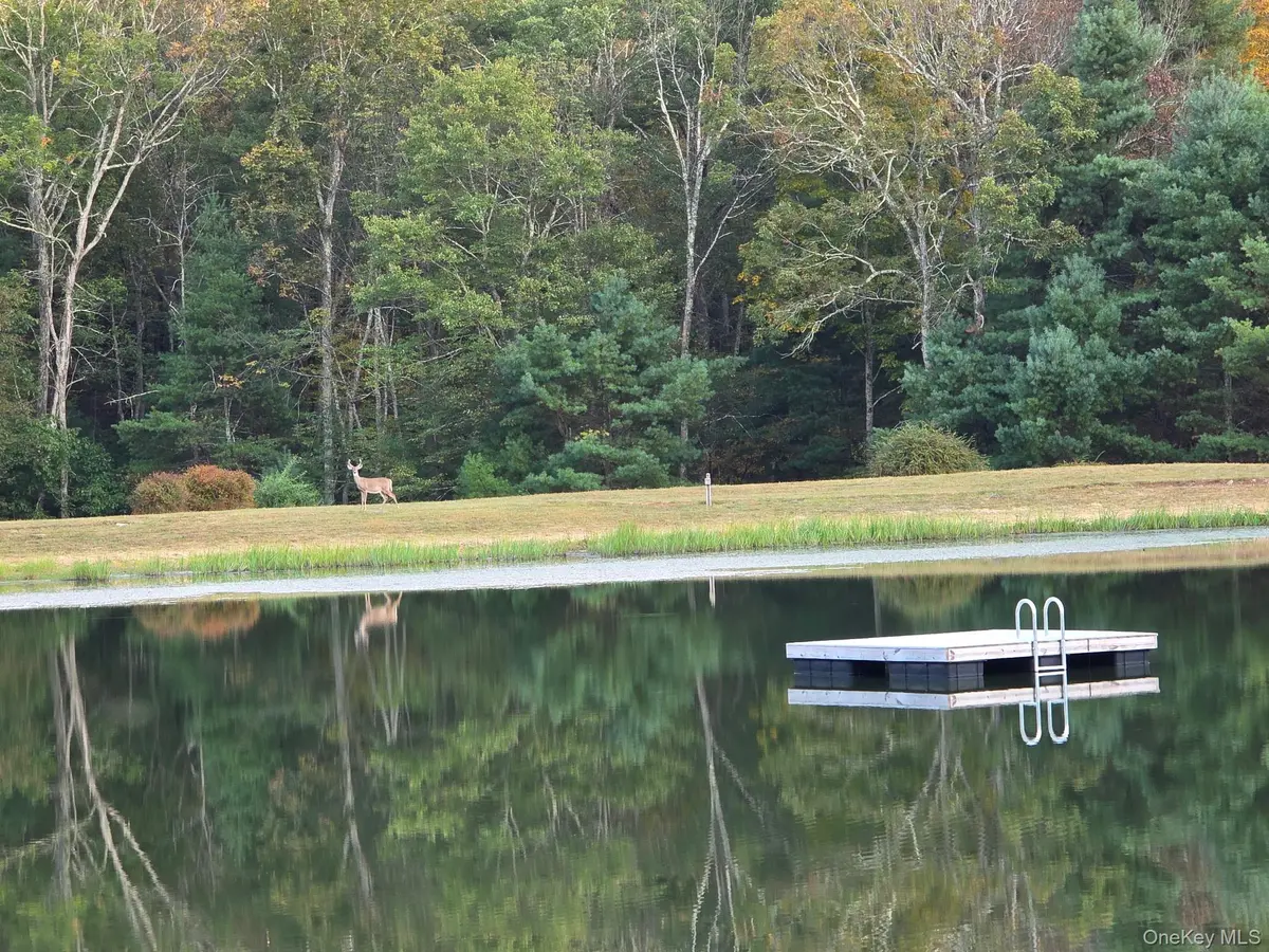 Split Rock DR, Barryville, NY 12719