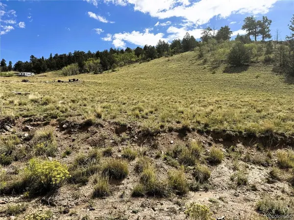 8390 Chickasaw, Hartsel, CO 80449