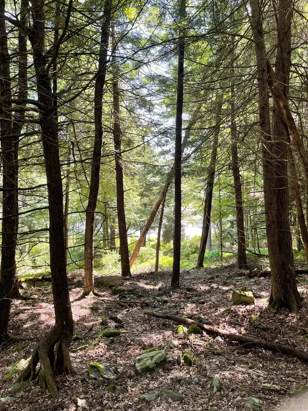 Lot 92 Mathias Weiden DR, Narrowsburg, NY 12764