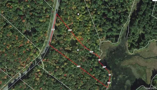 Lot 92 Mathias Weiden DR, Narrowsburg, NY 12764