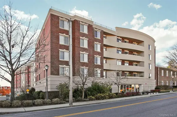 242 Maple AVE #419, Westbury, NY 11590