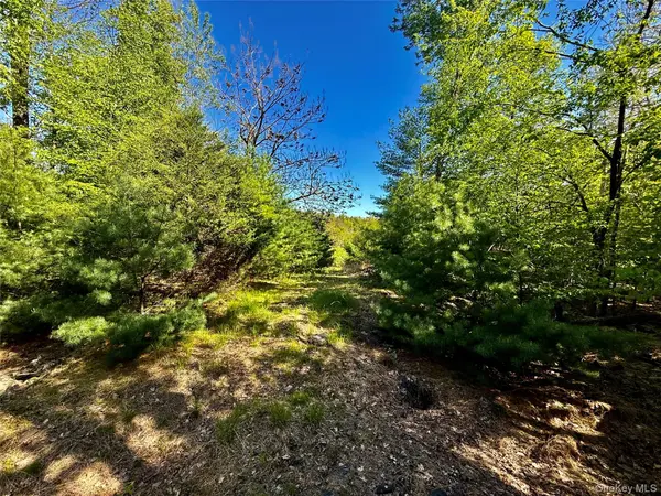 101 Stone RD, Hurley, NY 12491