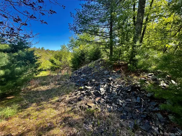 101 Stone RD, Hurley, NY 12491