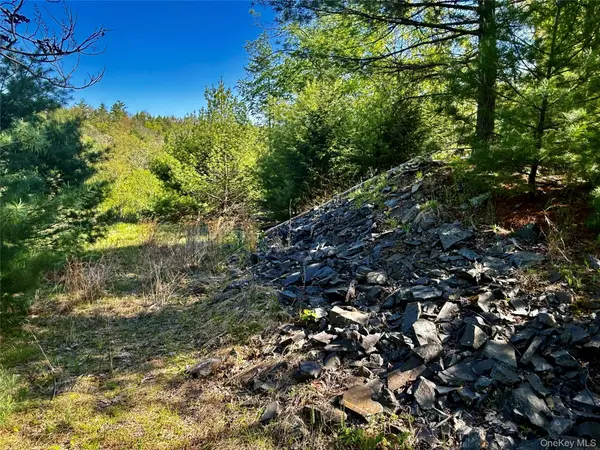 101 Stone RD, Hurley, NY 12491