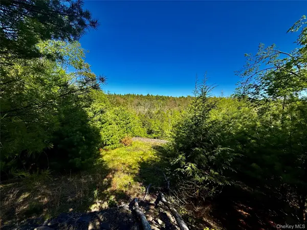 101 Stone RD, Hurley, NY 12491