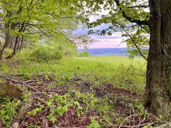 301 & 305 Hust Road Hust, Callicoon, NY 12748